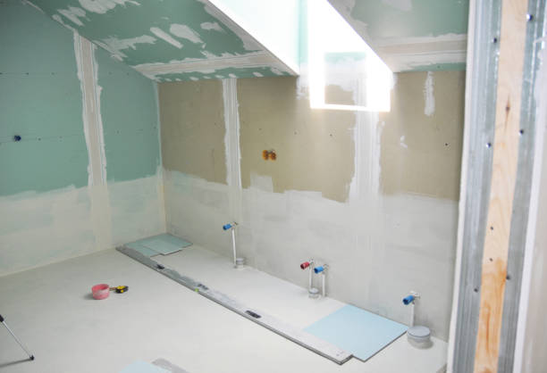 Professional Mold Removal in La Huerta, NM