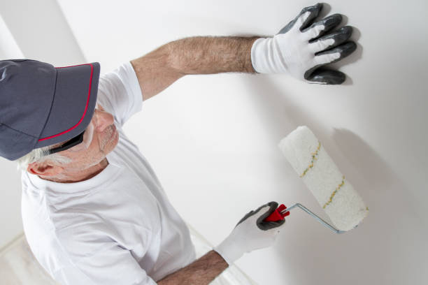 Best Mold Documentation for Insurance Claims  in La Huerta, NM