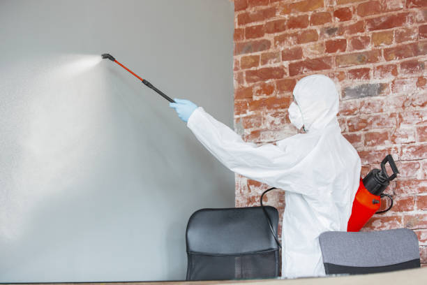 Mold Documentation for Insurance Claims in La Huerta, NM