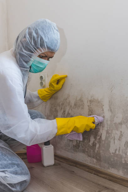 Best Air Quality Testing for Mold Spores  in La Huerta, NM
