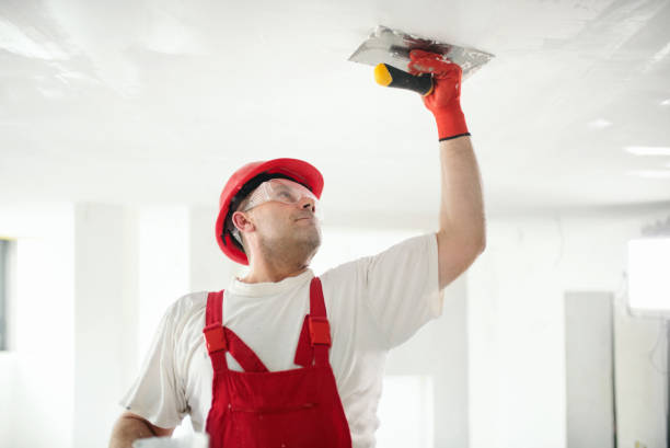 Best HVAC Mold Inspection and Cleaning  in La Huerta, NM