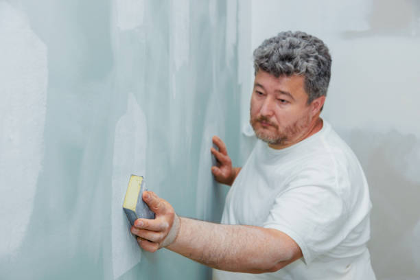 Best Mold Odor Removal Services  in La Huerta, NM