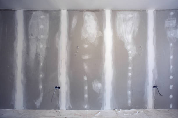 Best Mold Prevention Services  in La Huerta, NM